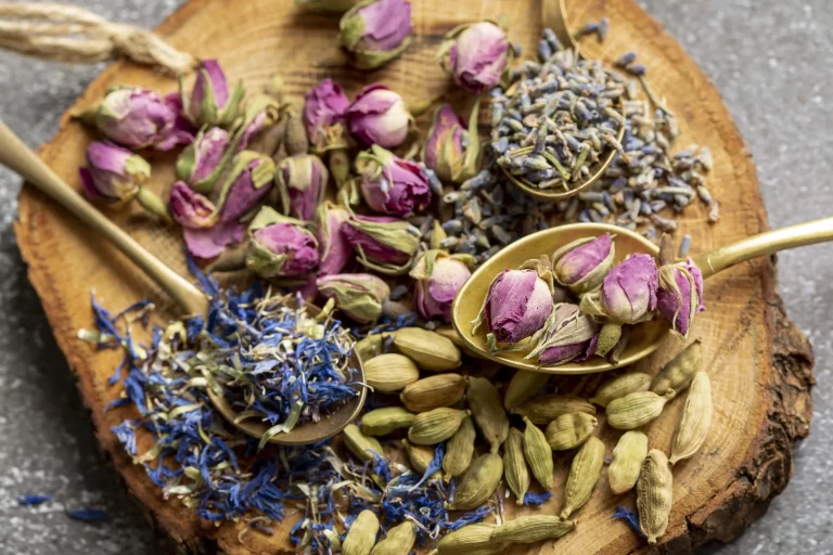 Herbs used in Yoruba traditional medicine
